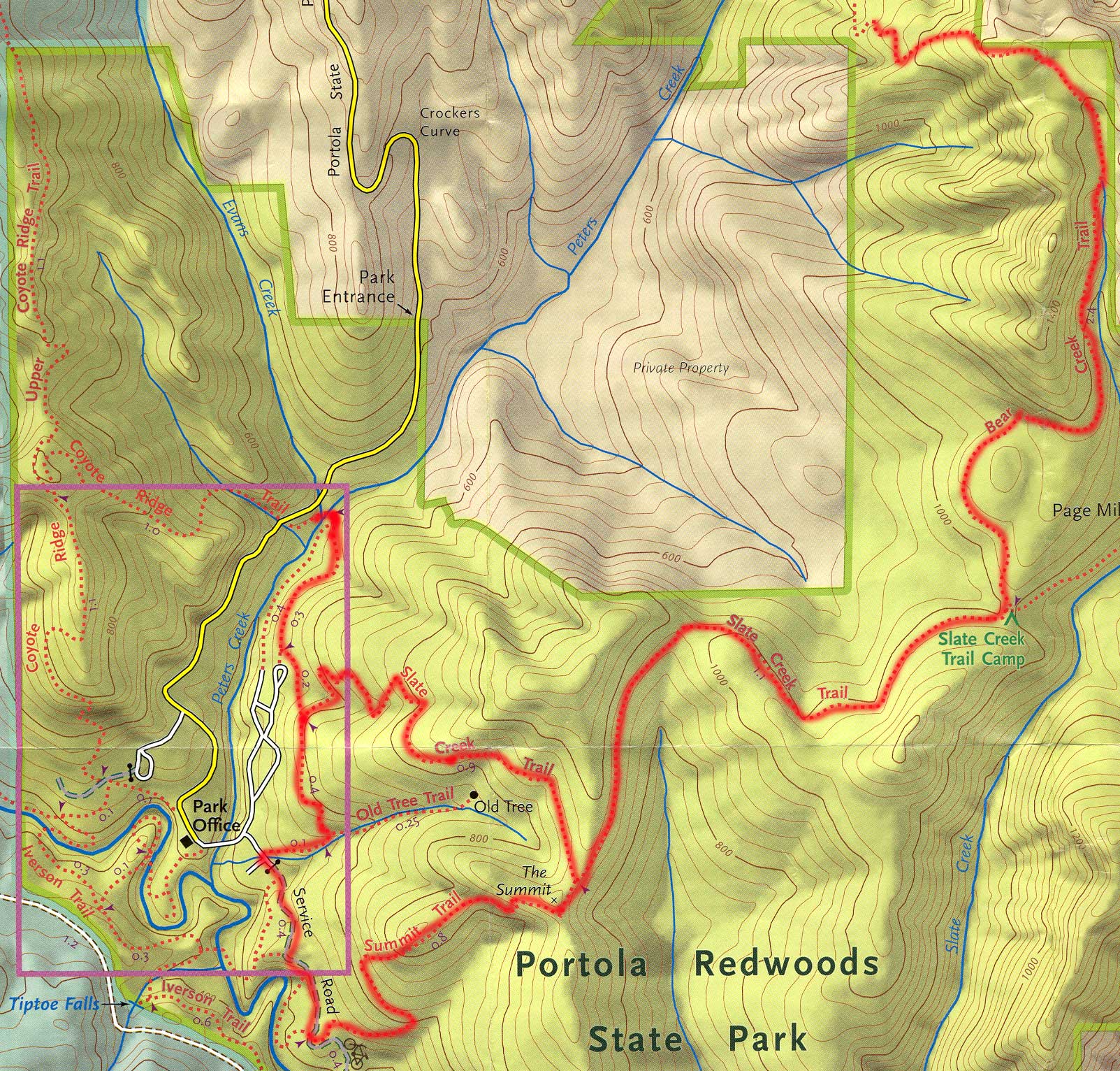 Portola Redwoods State Park